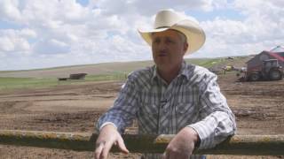 Angus VNR: Testing for improvement, profit