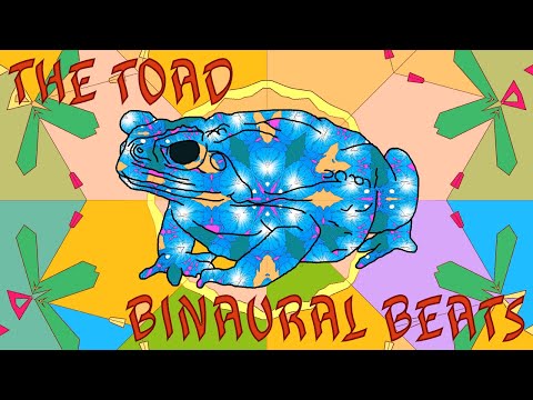 Vídeo: É A Temporada Do Bufo Toad: Cuide Dos Seus Cães