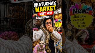 15,000 Shops Ek Jagah! 😳 Chatuchak Market Bangkok ! #shopping #travel #dailyvlog