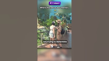 I Documented Twitch Streamers in the Wild...
