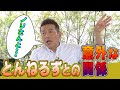 【太田上田＃２５１】とんねるずについて語りました