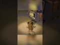 quack...................... #memes #funnyshorts #funny #meme