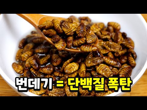 단백질이 소고기보다 3배, 번데기 이렇게 드세요