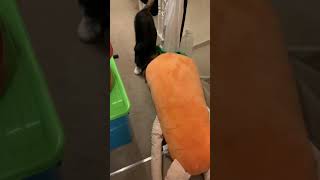 Why is my dog alive free humping on the carrot for u