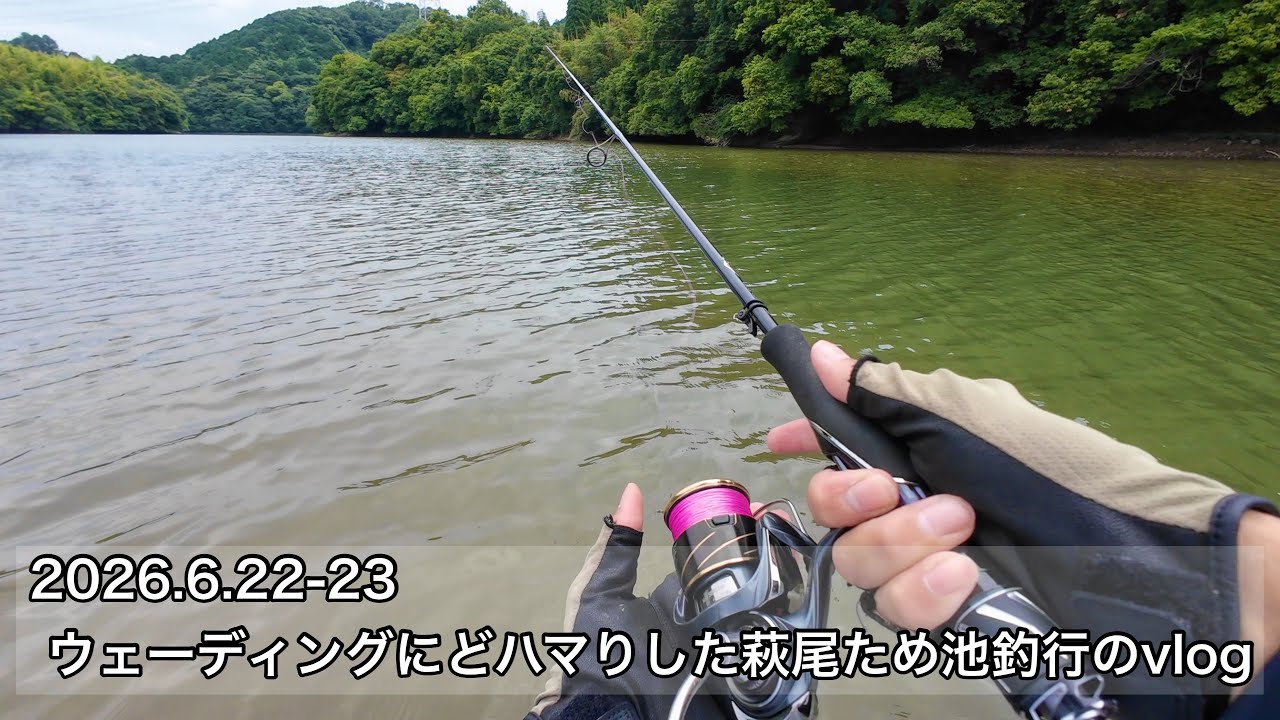 6/22.23 ウェーディングにどハマりした萩尾ため池釣行のvlog