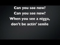 Senile Lyrics