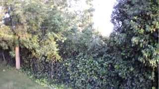 AR.Drone 2.0 Flight Video: height test