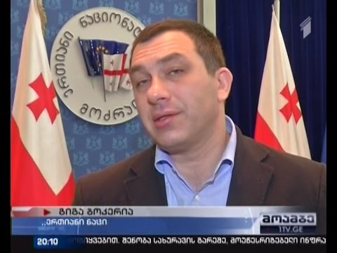 ღარიბაშვილი გაეროს უმაღლეს ტრიბუნაზე - შეფასებები