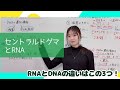 【生物】セントラルドグマとRNA