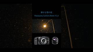 LEICA DG SUMMILUX 25mm/F1.4 II ASPH.