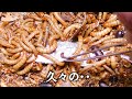 ミルワーム・マニアックス　～ミルワーム飼育上級者編03～　ミルワーム養殖の匙加減と、幼虫成虫同時飼育による計画的ダウンタイム。