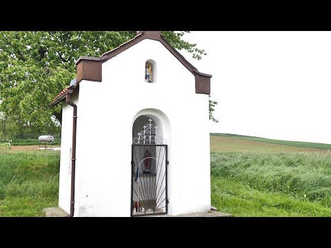 Program Z NASZEJ WIOSKI - odc. 7 Łaniec