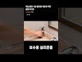 욕실 셀프 시공 끝판왕 세트!!! 쿠팡 꿀템 추천!!  #줄눈시공 #생활보수템 #쿠팡추천