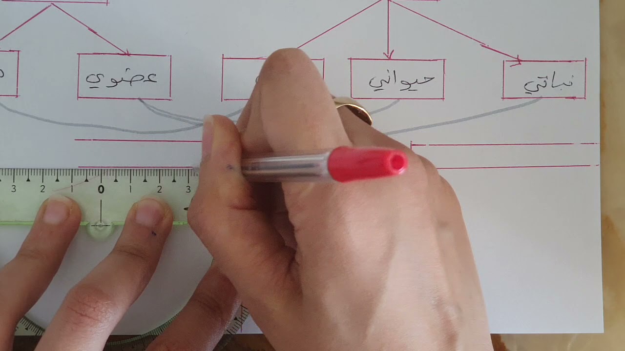 مراجعات الفصل الأول سنة أولى متوسط.