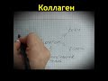 Коллаген