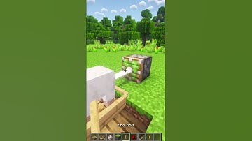 Sheep Fricker Tutorial🫣#minecraft #shorts