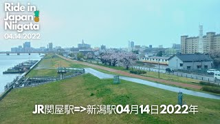日本ライド | JR関屋駅➡️新潟駅駅04月14日2022年 | JR Hakusan Station➡️Niigata Station 04.14.2022