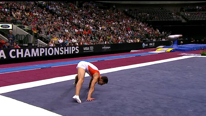 Daniel Ribeiro - Floor Exercise - 2009 Visa Champi...