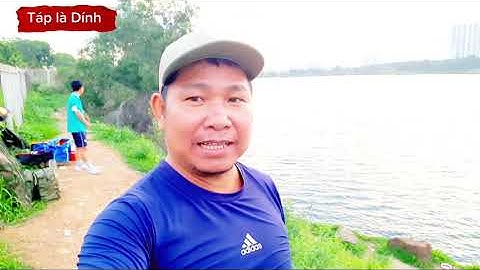Táp là Dính # Câu cá mè Hồ đá làng đại học Thủ Đức cùng teem