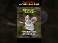 くちばしの半分をネズミ捕りで失った鳥先輩 #海外 #shortsのサムネイル