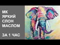 МАСТЕР КЛАСС: КАК НАРИСОВАТЬ СЛОНА МАСЛОМ НА ХОЛСТЕ