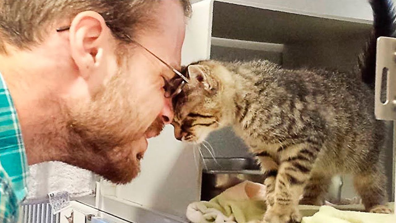 100 Random Acts Of Kindness Towards Animals That Will Make You Cry
