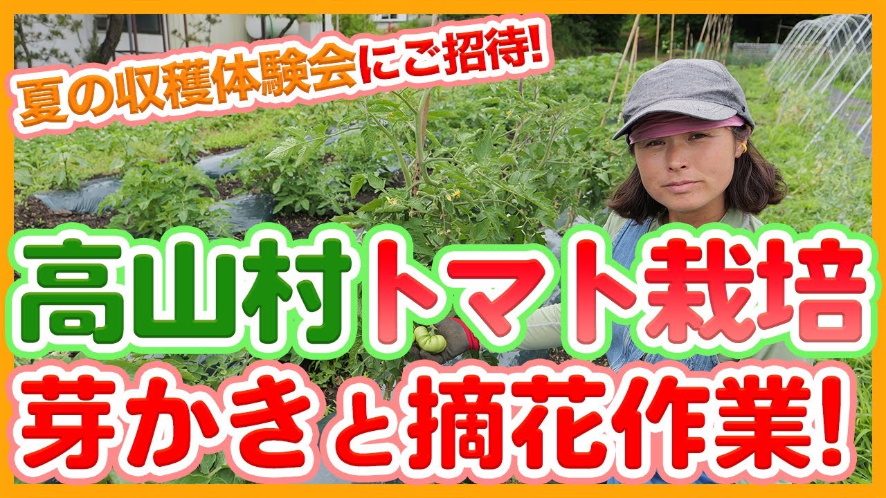 Directly taught by farmers from Takayama Village! A thorough
