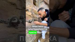 Практика Благодарности #анардримс #благодарность #практика #практикаблагодарности