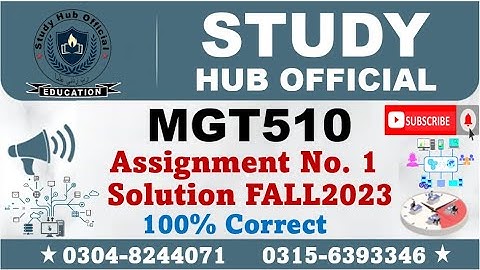 MGT510 Assignment 1 Solution Fall 2023, MGT510 Assignment 1 solution 2023, MGT510 assig 1 solution