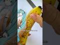 Teto, that’s not a “Banano”!