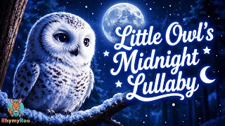 Little Owl’s Midnight Lullaby | Calm Bedtime Song for Baby Sleep | RhymyRoo screenshot 5