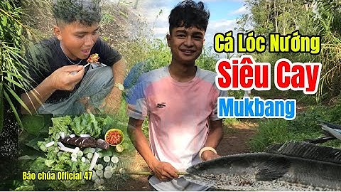 Ra Suối Nướng Cá Lóc Siêu cay - Mukbang ngoài suối | Báo Chúa Official 47