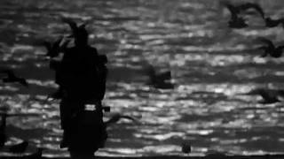 Rumble Fish - Bike Ride
