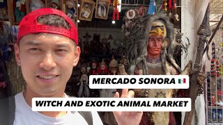 I EXPLORED (AND NEARLY GOT ROBBED IN) MEXICO CITY’S WITCH AND EXOTIC ANIMAL MARKET - MERCADO SONORA
