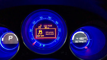 DS 4 Crossback SMEG System Information Menu