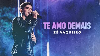 TE AMO DEMAIS - ZÉ VAQUEIRO (Vídeo Oficial)