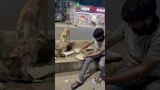 Feeding street dogs &amp; cows 🥹❤️#nature #foodie #dog #cow #cows #dogs #travel #animals #humanitystill