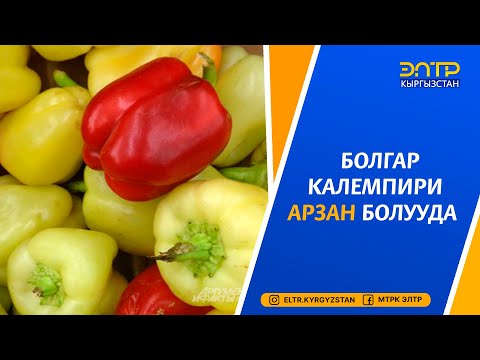 Video: Колбаса жана болгар калемпири шорпосун кантип жасаш керек