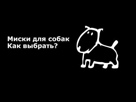 Миски для собак. Как Выбрать?