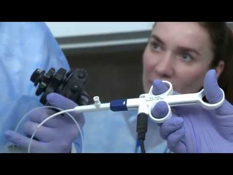 centre for regenerative medicine wuls sggw youtube center for regenerative medicine miami