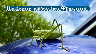 Майские прогулки во французской провинции | Влог