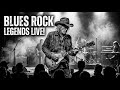 Jimi Hendrix, ZZ Top, Eric Clapton, SRV, Led Zeppelin – Blues Rock Guitar Power Collection