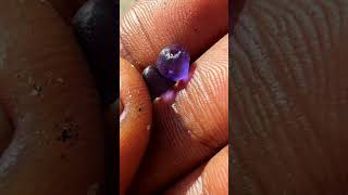 Matching Purple Sapphire Pair (2.70 ct Rough) 💜 Rare Find