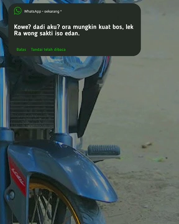 Story wa vixion jari-jari 'koe dadi aku ra mungkin kuat,nk wong sekti mukin iso edan'