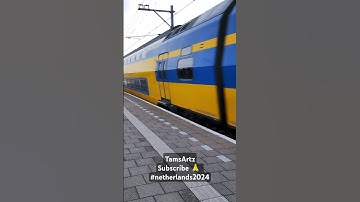 Speed meets beauty Netherlands NS high speed train racing through stunning tulip gardens #amsterdam