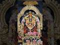 Mayapur Narasimha Dev Darshan | Beautiful Mayapur Narsingha Temple Darshan | Narasimha Dev Video