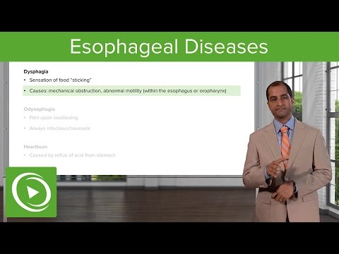 Esophageal Diseases: Introduction – Pathology | Lecturio