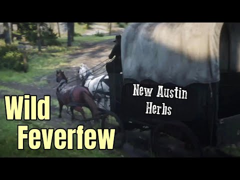 Video: Var gör man prydnadssaker rdr2?