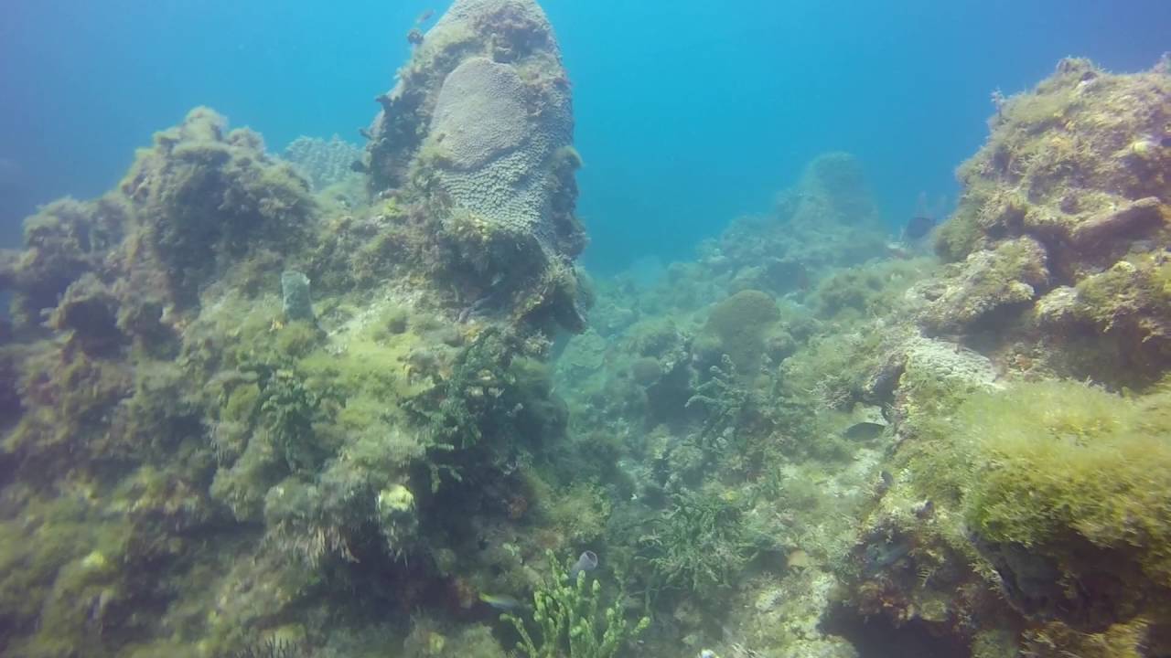 Off Ramp, Dry Tortugas 2016