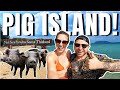 Is pig island the best day trip from koh samui   koh madsum thailand